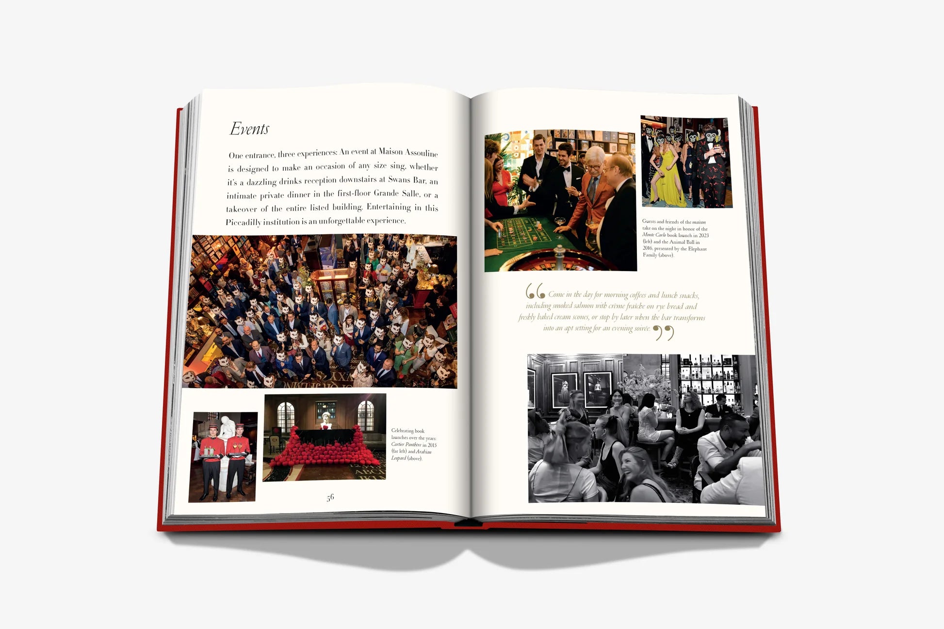 Swans Bar 9781649803856