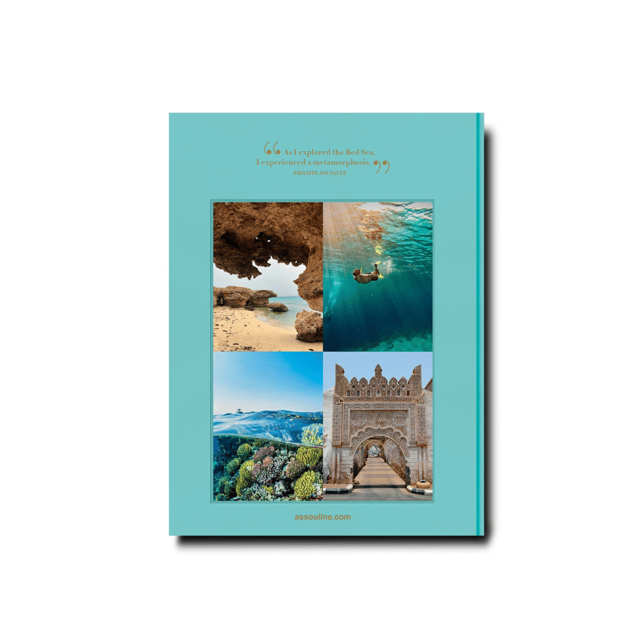 Saudi Arabia Red Sea The Saudi Coast 9781649800848