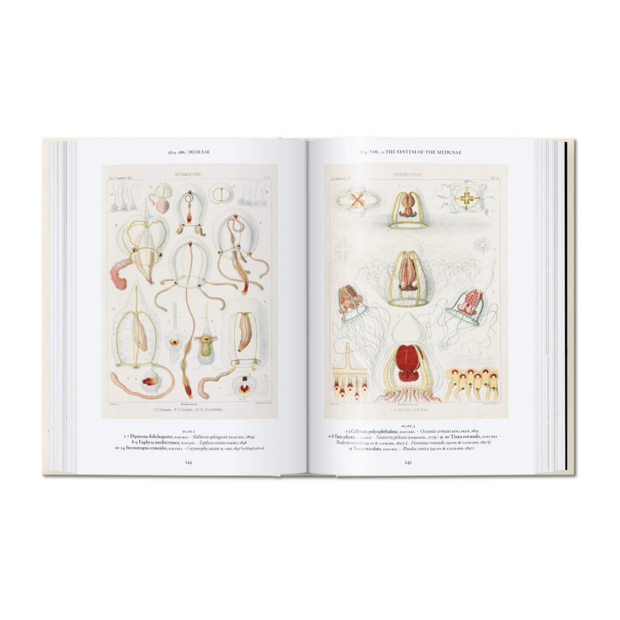 The Art &amp; Science. Ernst Haeckel - 40TH 9783836584289