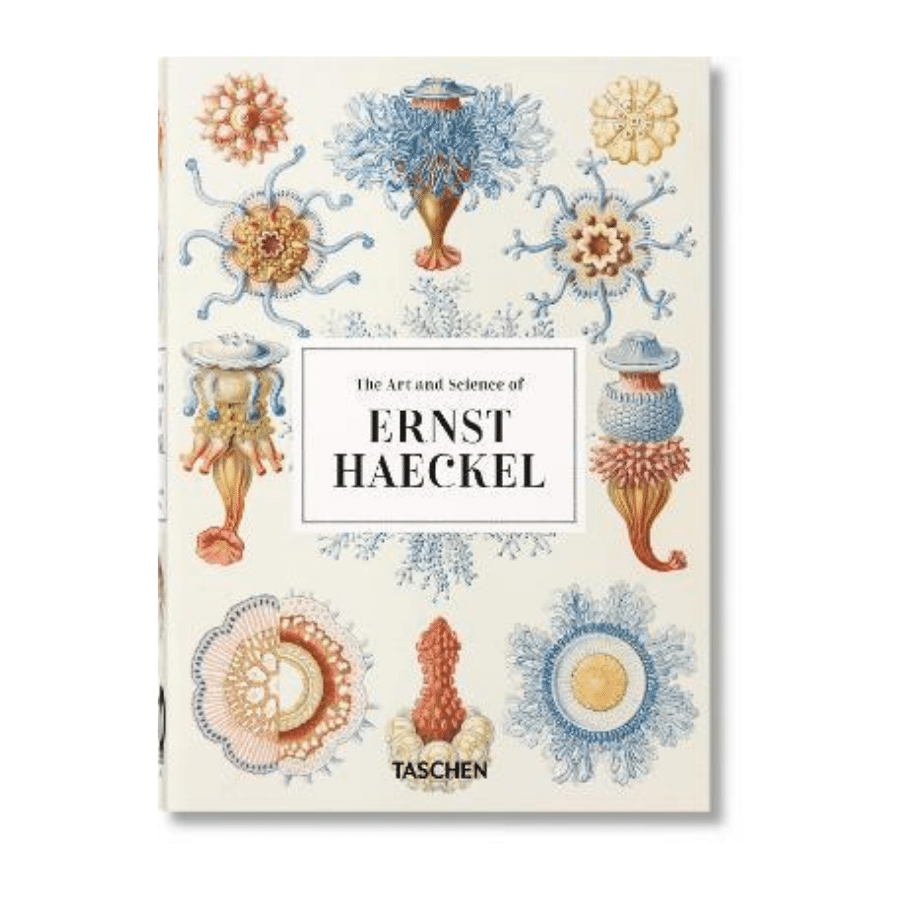 The Art &amp; Science Of Ernst Haeckel - Xl 9783836526463