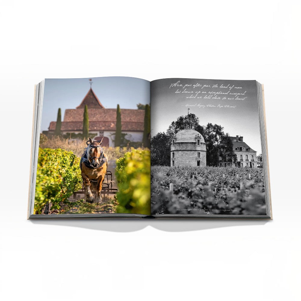 Wine & Travel France