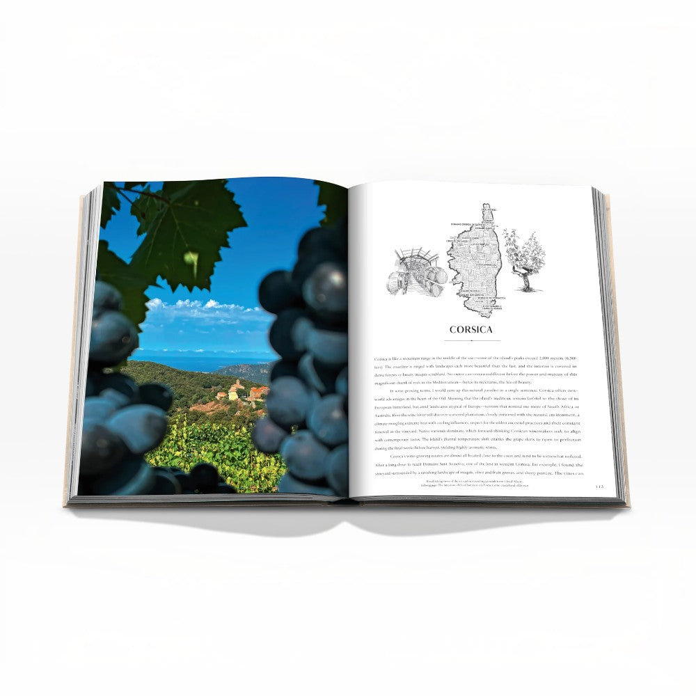 Wine & Travel France