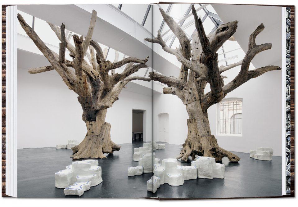 Ai Weiwei - 40TH Edition 9783836581950