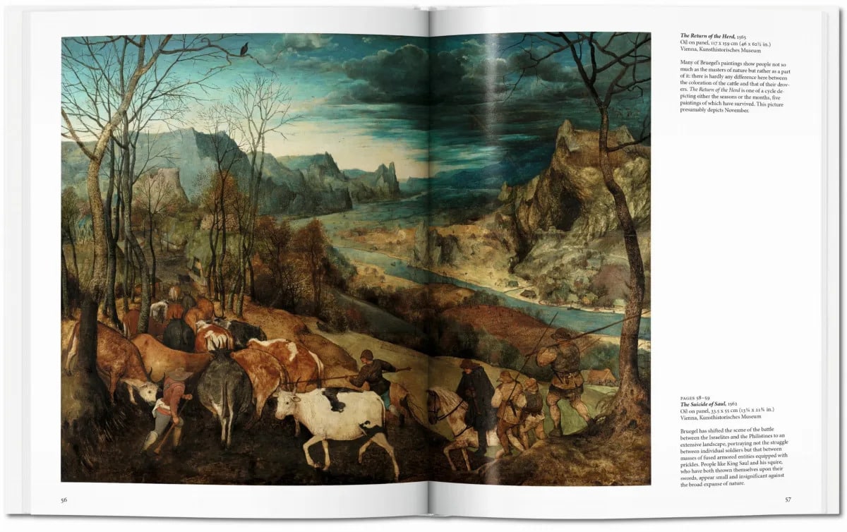 Bruegel 9783836553063