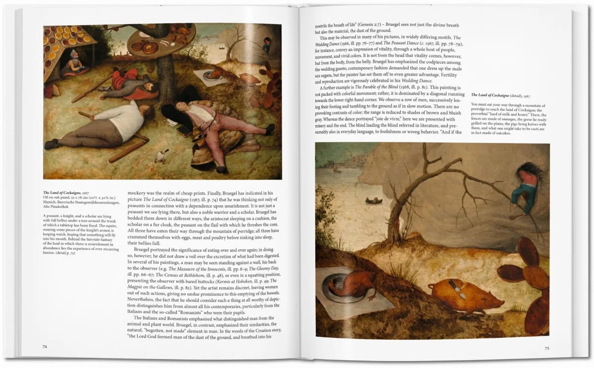 Bruegel 9783836553063