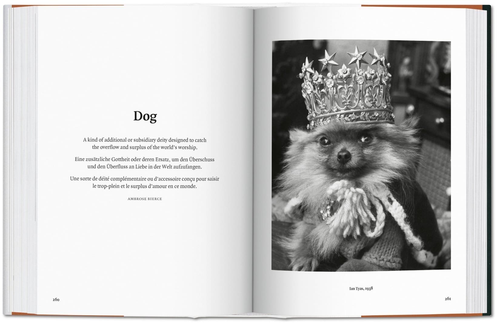 The Dog In Photography 9783836567473