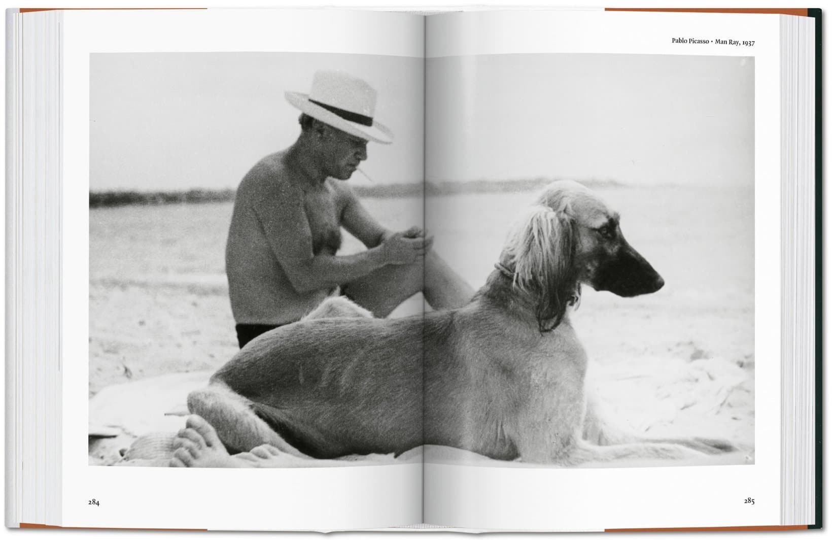 The Dog In Photography 9783836567473