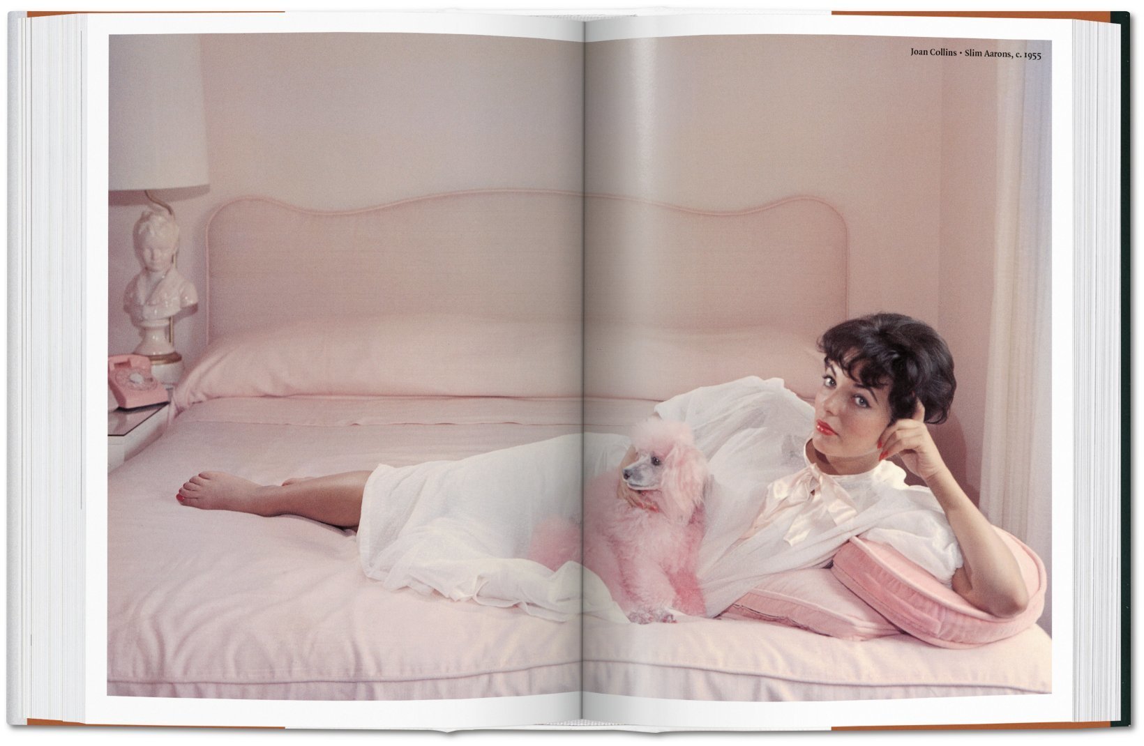 The Dog In Photography 9783836567473