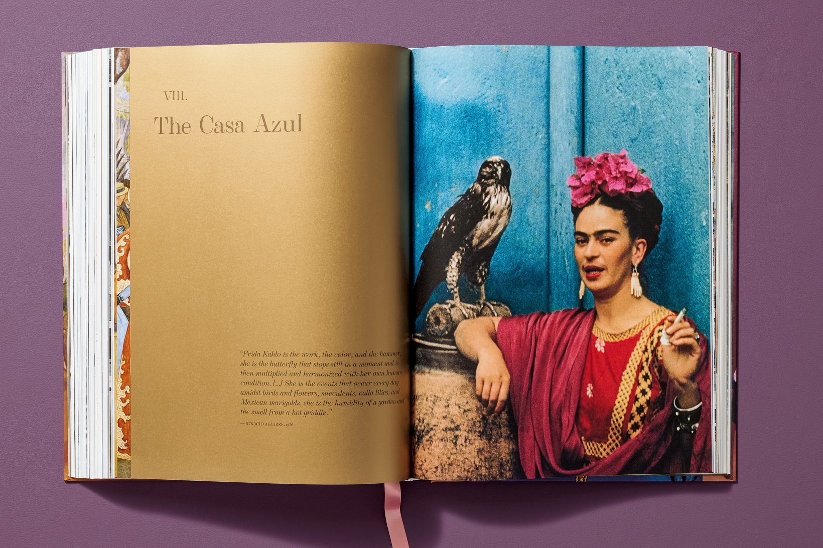Frida Kahlo Paintings - Xl 9783836574204