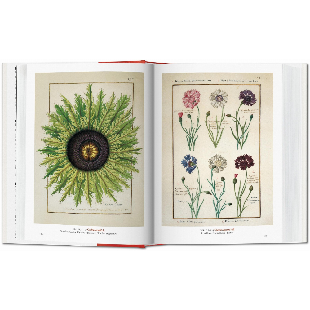 A Garden Eden. Masterpieces of Botanical Illustration. 45th Ed.