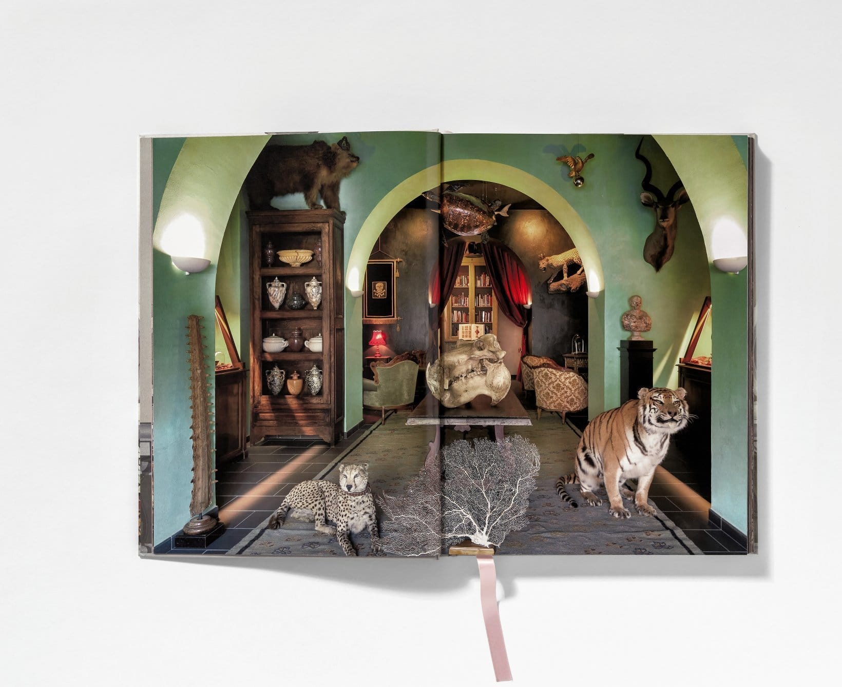 Cabinets Of Curiosities Massimo Listri 9783836540353