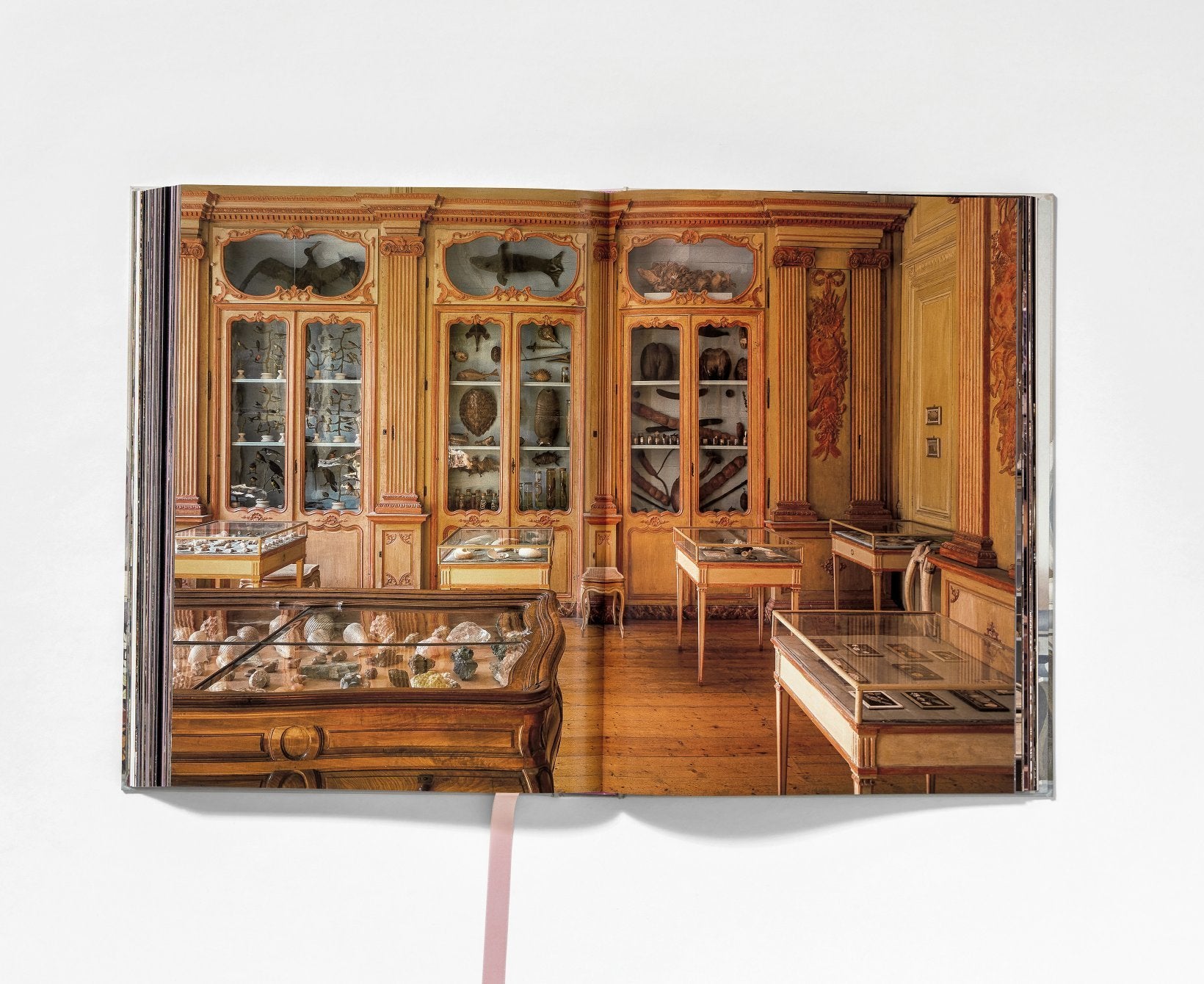 Cabinets Of Curiosities Massimo Listri 9783836540353