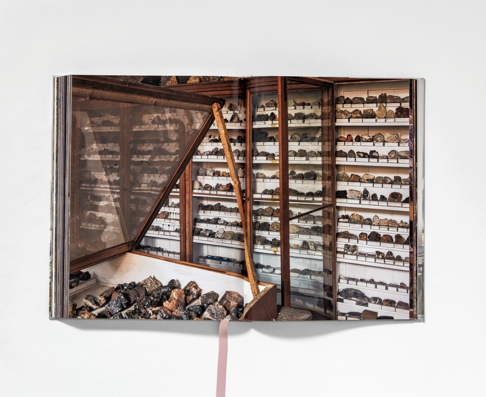 Cabinets Of Curiosities Massimo Listri 9783836540353