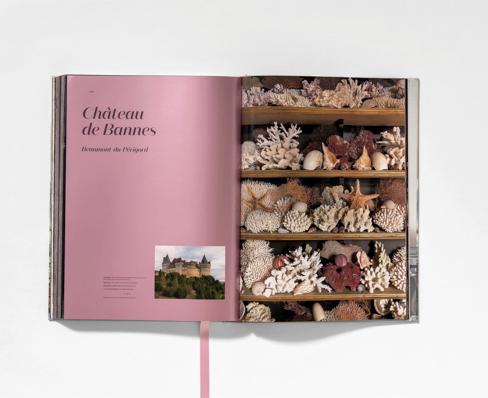 Cabinets Of Curiosities Massimo Listri 9783836540353