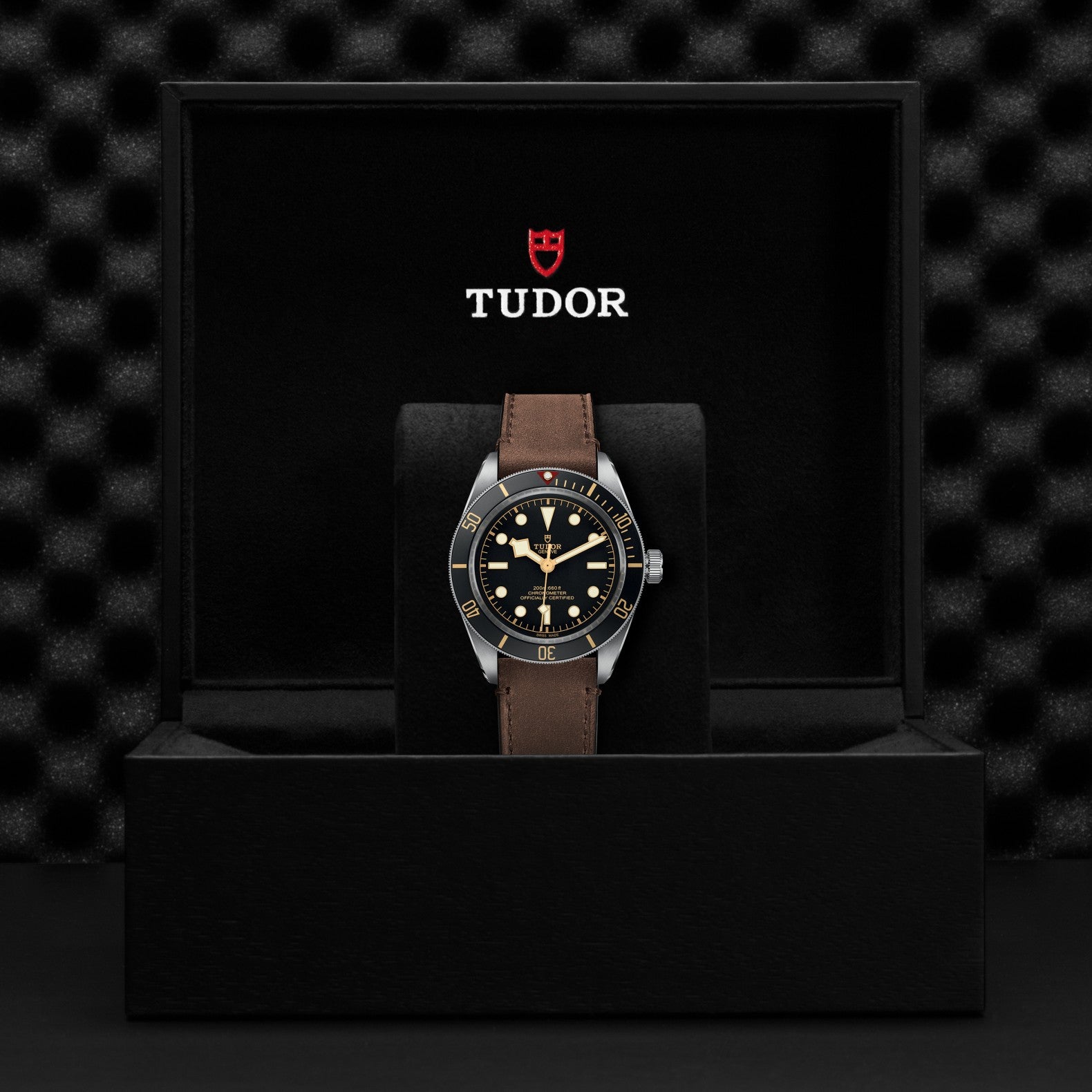 Black Bay Stainless Steel M79030N-0002