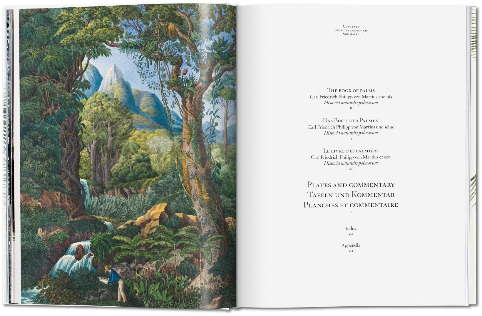 The Book Of Palms 9783836566148