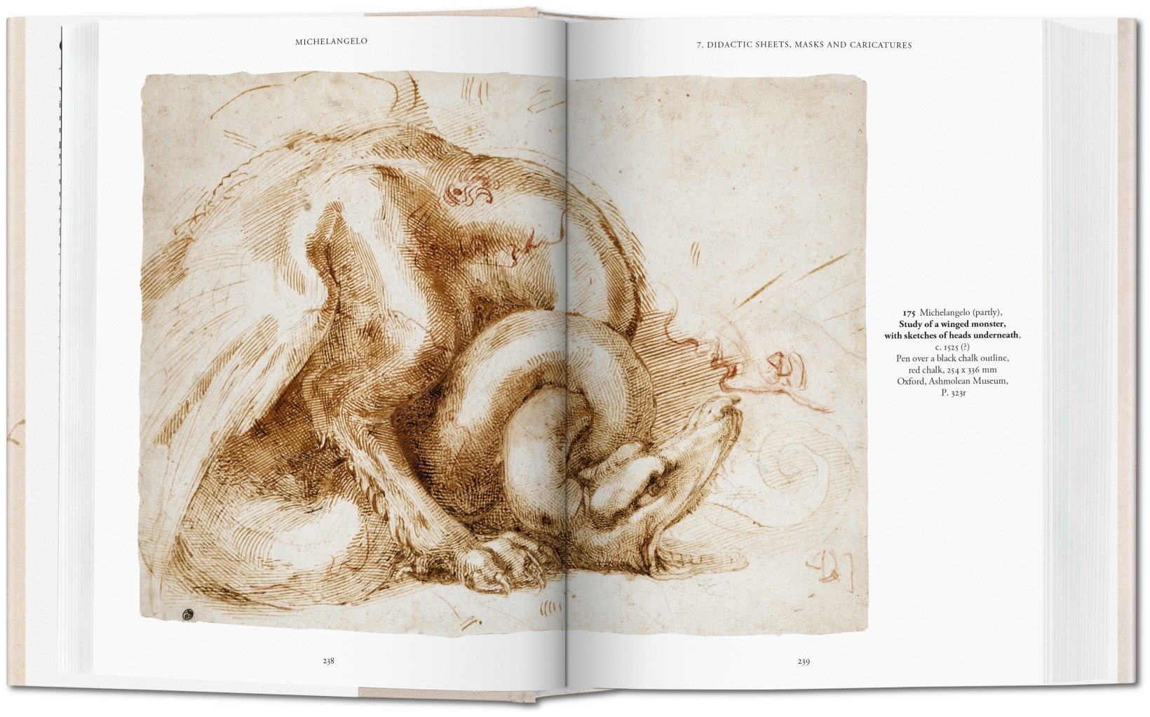 Michelangelo The Graphic Work 9783836537193