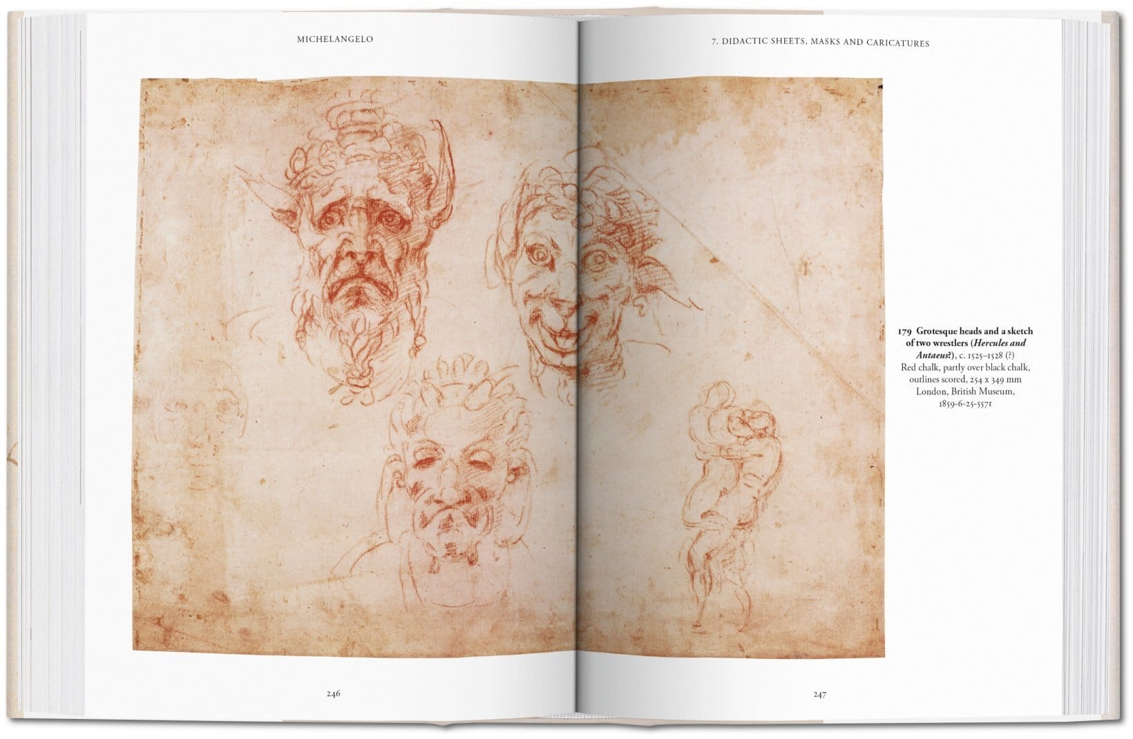 Michelangelo The Graphic Work 9783836537193
