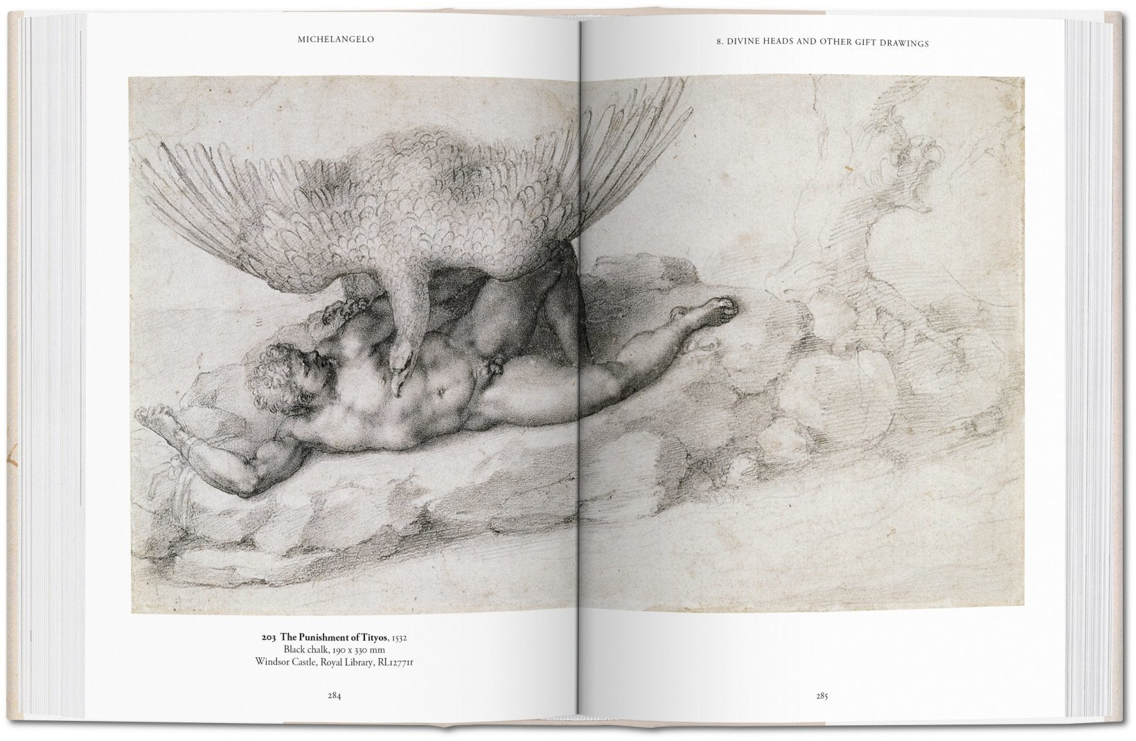 Michelangelo The Graphic Work 9783836537193