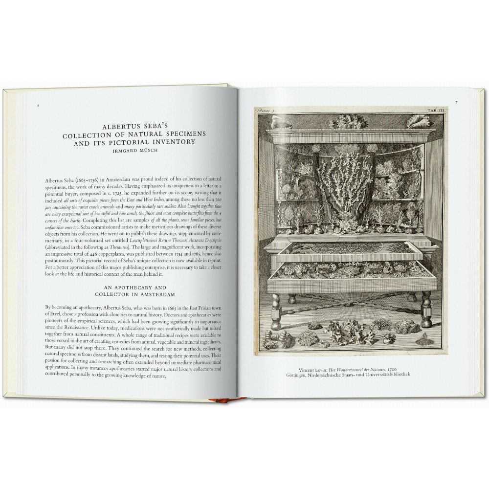 Seba. Cabinet of Natural Curiosities. 45th Ed.