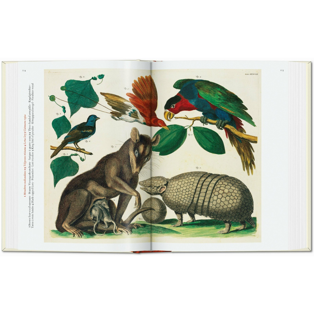 Seba. Cabinet of Natural Curiosities. 45th Ed.