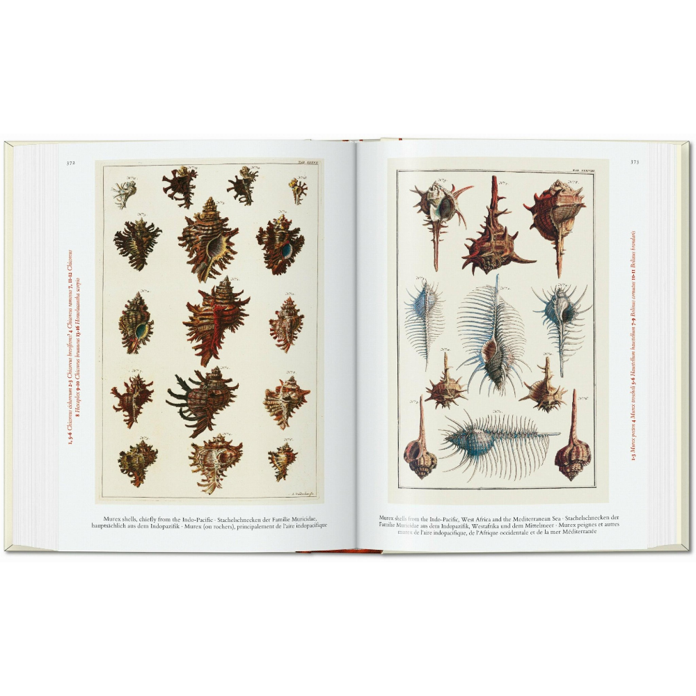Seba. Cabinet of Natural Curiosities. 45th Ed.