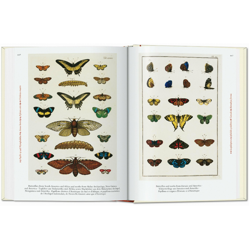 Seba. Cabinet of Natural Curiosities. 45th Ed.