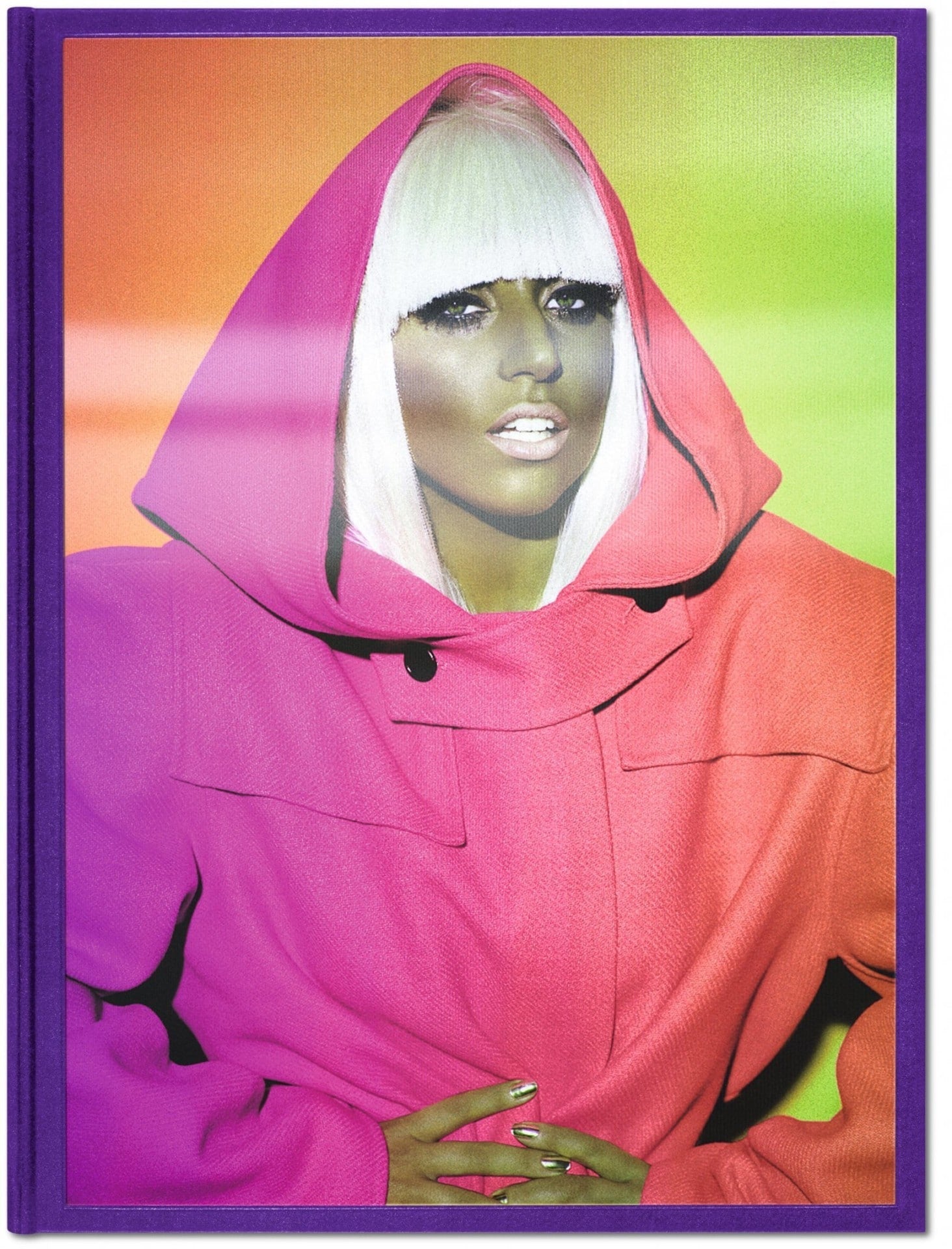 Mario Testino Private View Collectors Ed 9783836539463