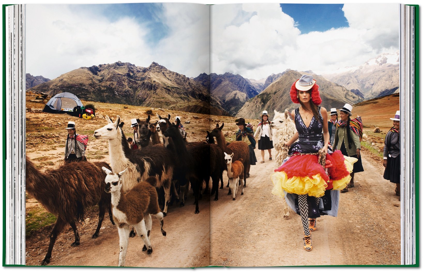 Mario Testino Private View Collectors Ed 9783836539463