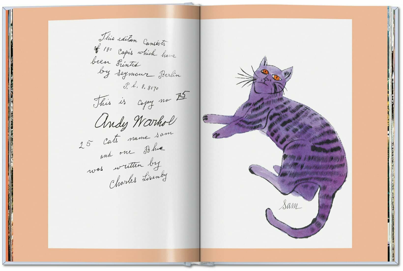 Andy Warhol 7 Illustrated Book 1952-1959 9783836592581