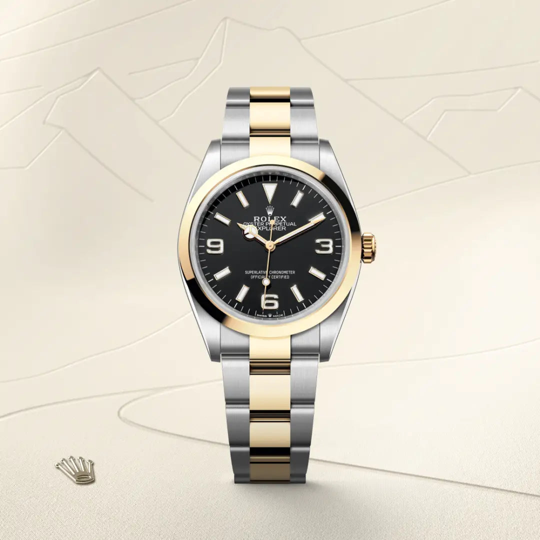 Rolex Explorer in Oystersteel and yellow gold, M124273-0001 - Edwards Lowell