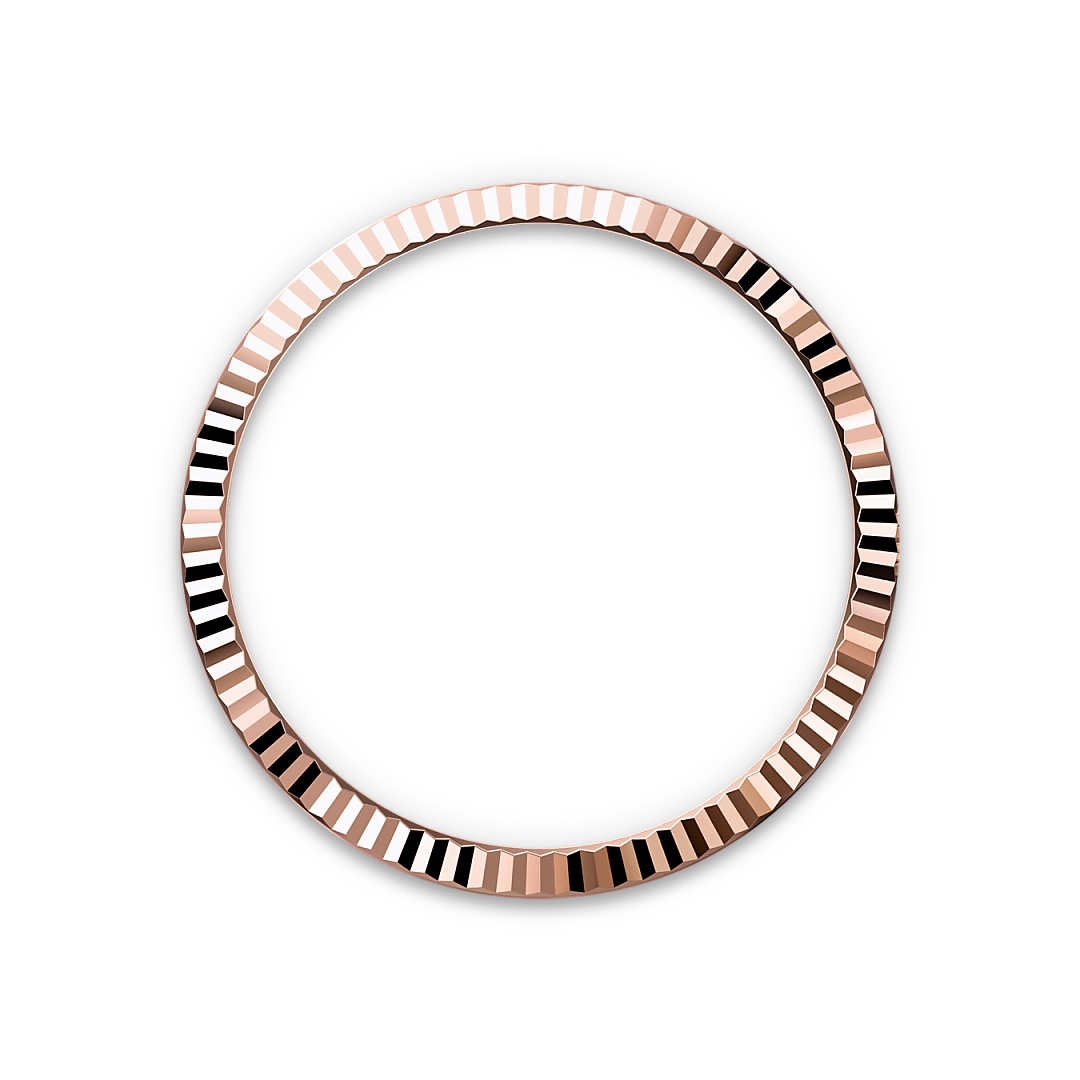 Rolex Datejust in Oystersteel and Everose gold, M126231-0020 - Edwards Lowell