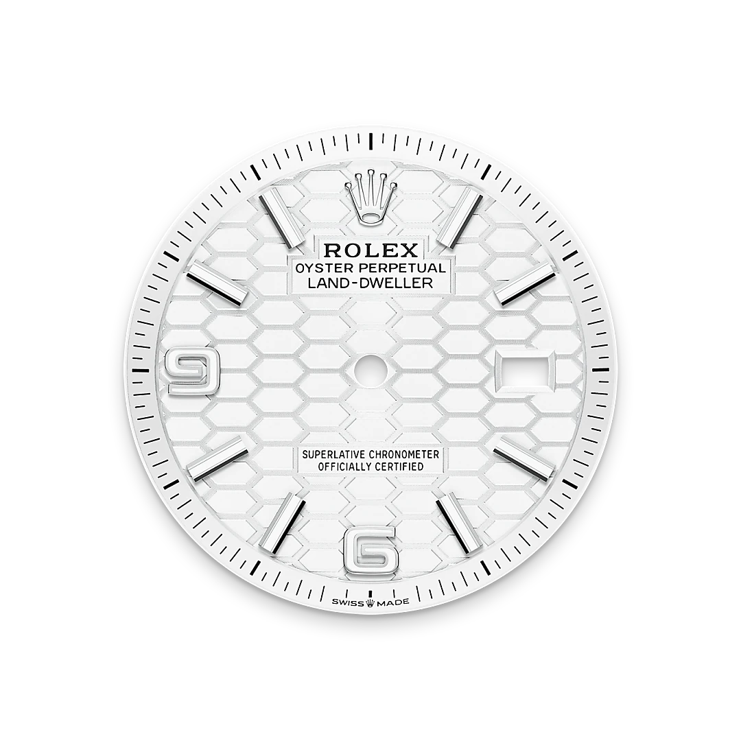 Rolex Land-Dweller in Oystersteel and white gold, M127234-0001 - Edwards Lowell