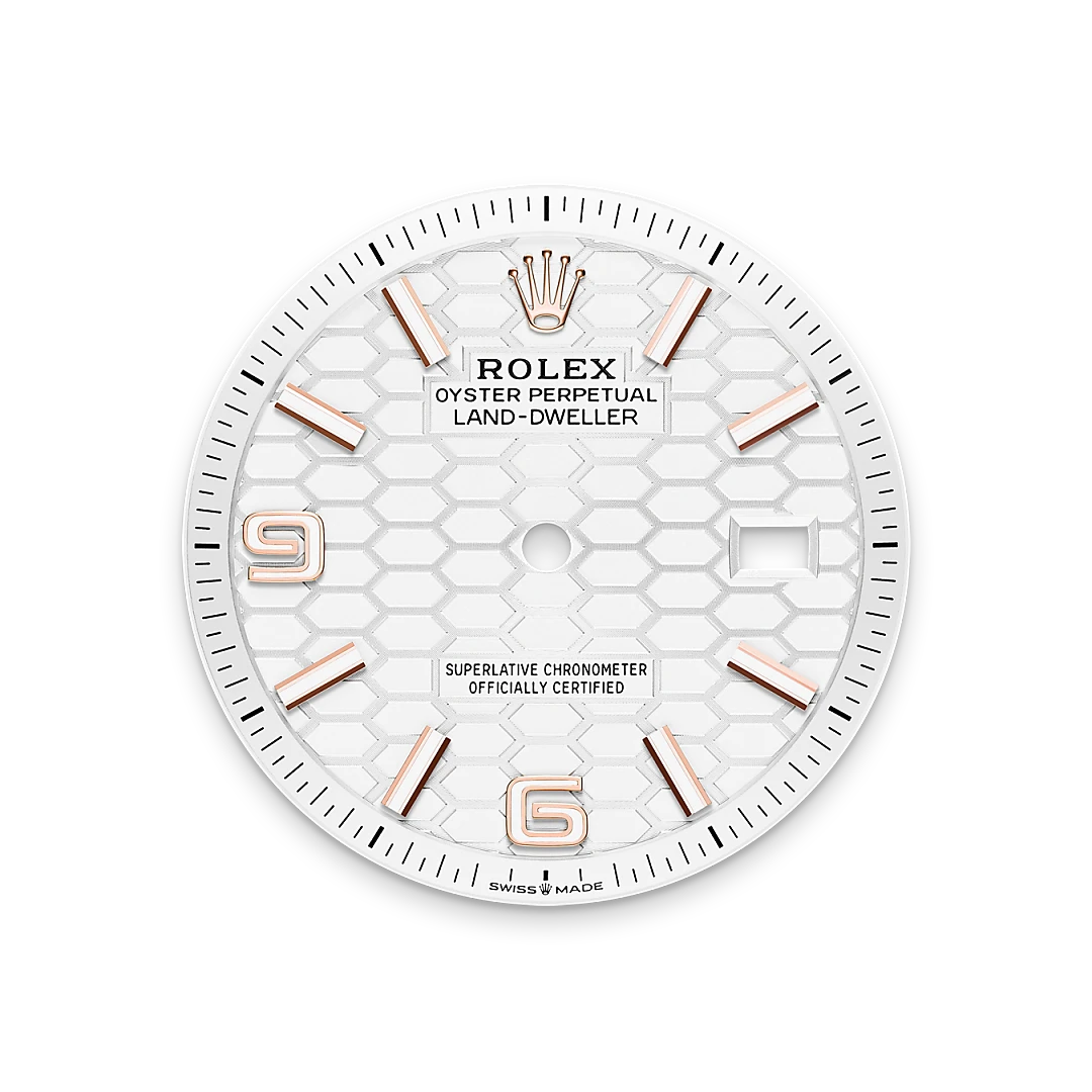 Rolex Land-Dweller in Everose gold, M127235-0001 - Edwards Lowell