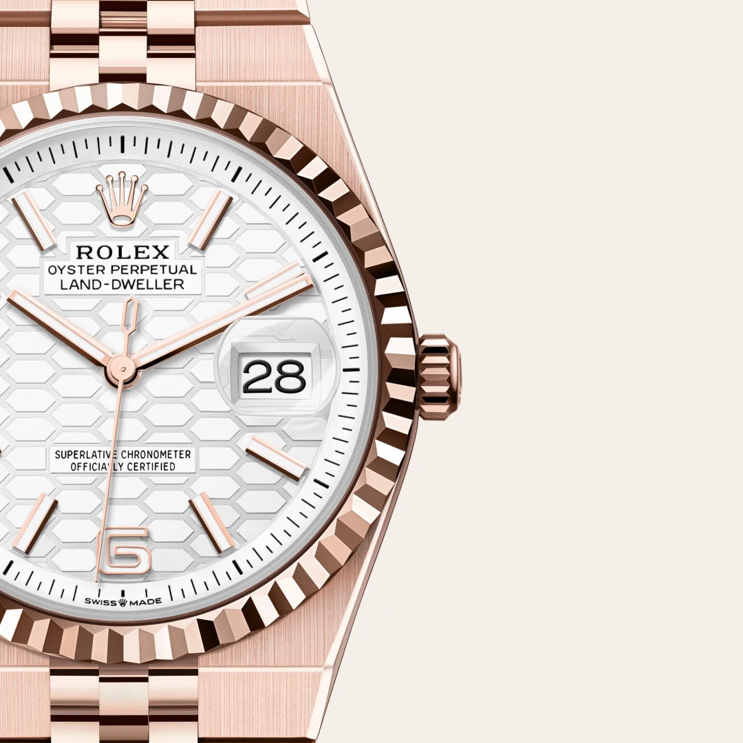 Rolex Land-Dweller in Everose gold, M127235-0001 - Edwards Lowell
