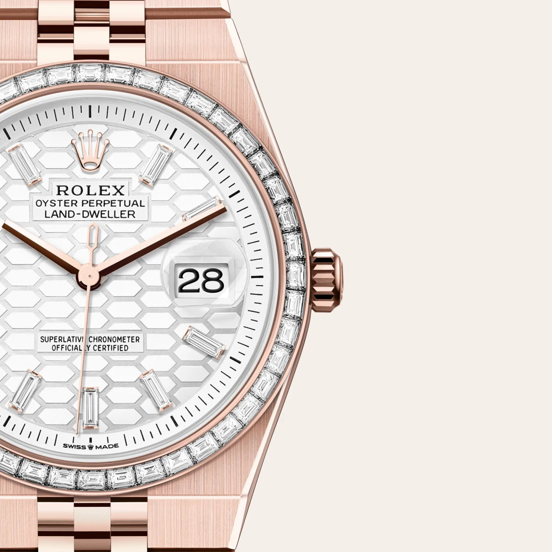 Rolex Land-Dweller in Everose gold and diamonds, M127285TBR-0002 - Edwards Lowell