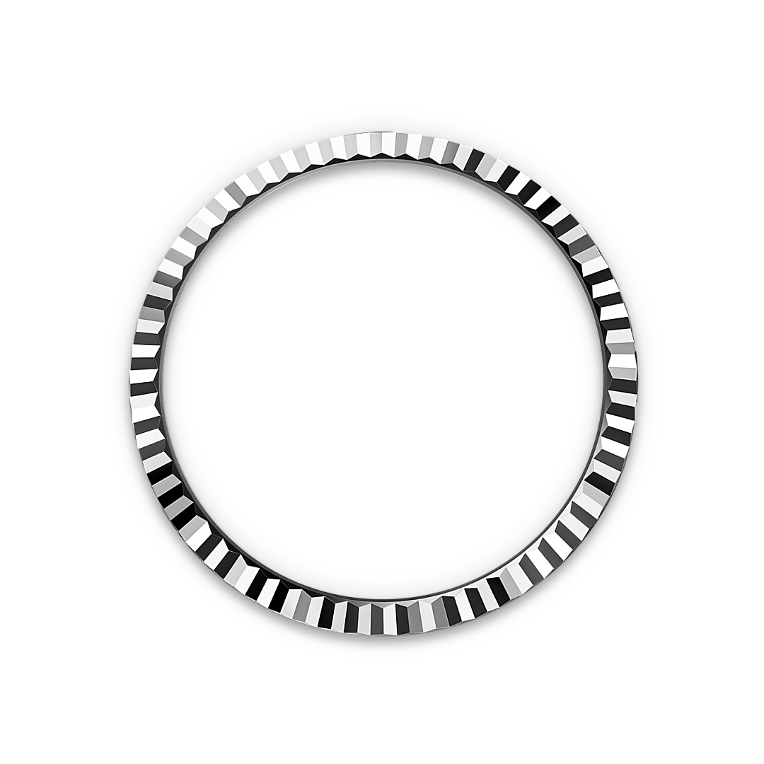 Rolex Land-Dweller in Oystersteel and white gold, M127334-0001 - Edwards Lowell