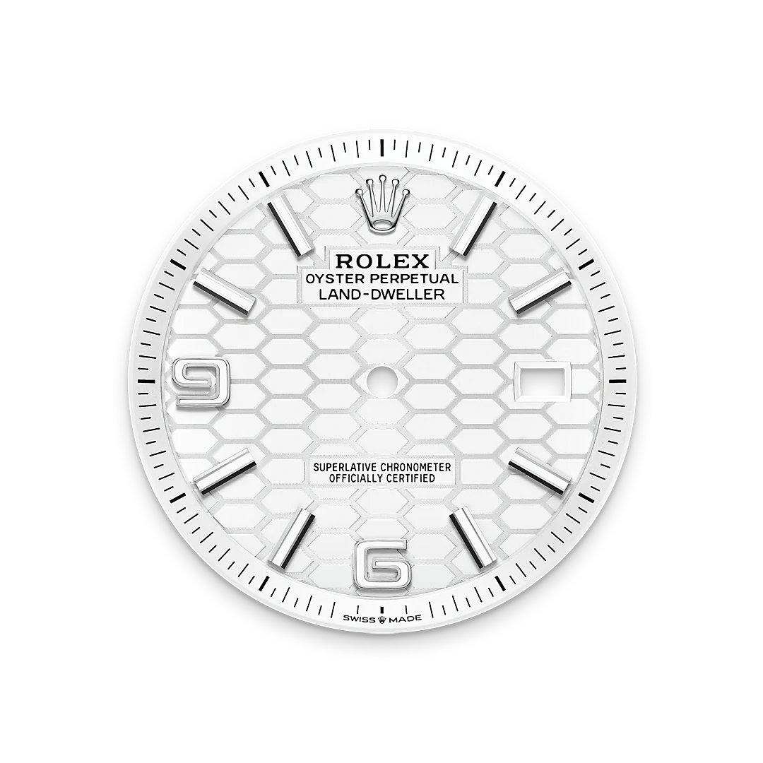Rolex Land-Dweller in Oystersteel and white gold, M127334-0001 - Edwards Lowell