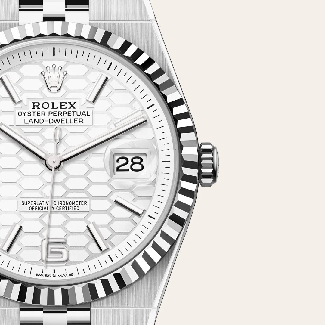 Rolex Land-Dweller in Oystersteel and white gold, M127334-0001 - Edwards Lowell