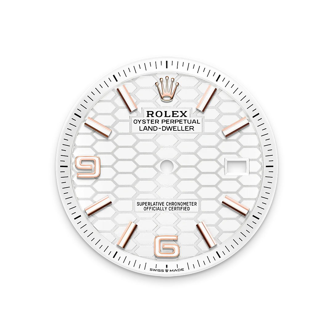 Rolex Land-Dweller in Everose gold, M127335-0001 - Edwards Lowell