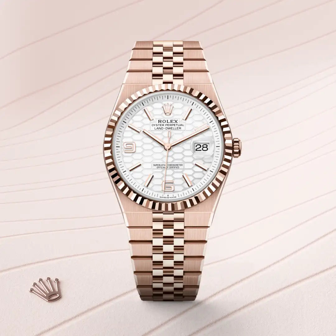 Rolex Land-Dweller in Everose gold, M127335-0001 - Edwards Lowell
