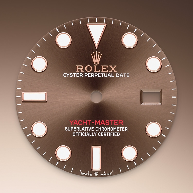 Rolex Yacht-Master 40 - Chocolate Dial