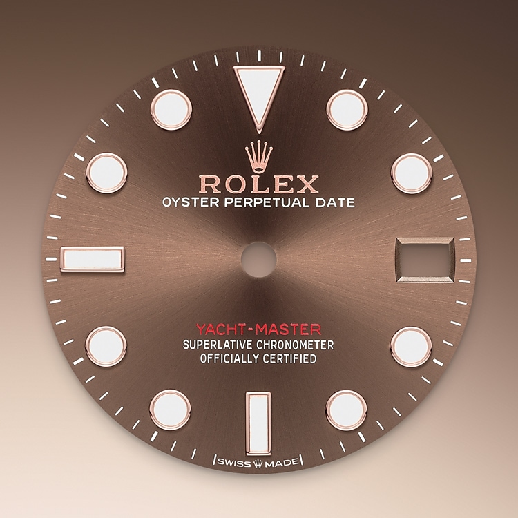 Rolex Yacht-Master 37 - Chocolate Dial